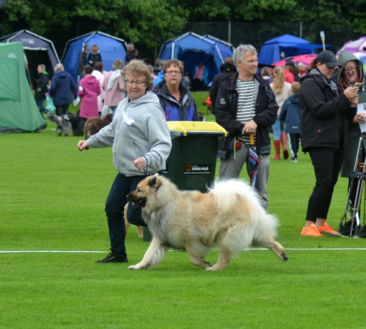 2016-07-01 16.47.26-2