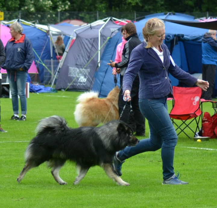 2016-07-01 16.51.00-1