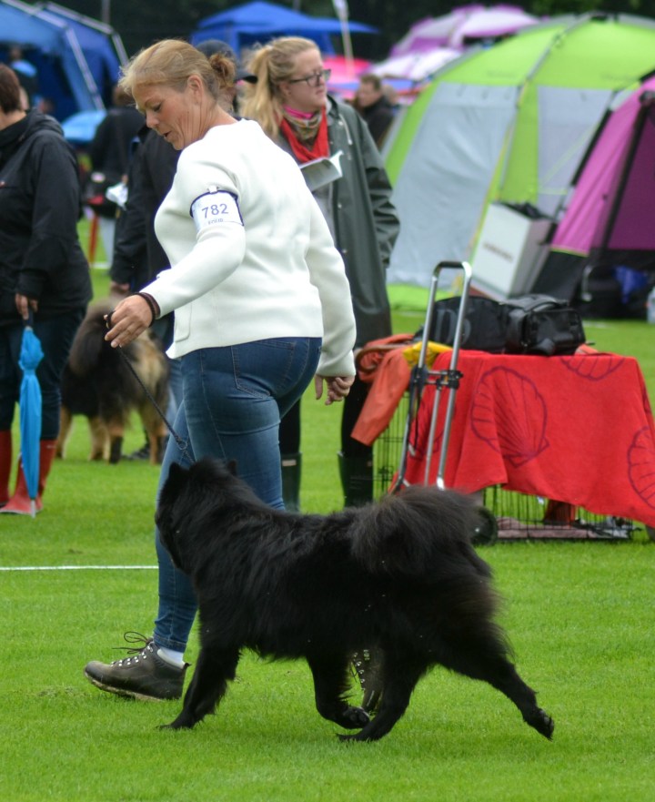 2016-07-01 17.00.19-2