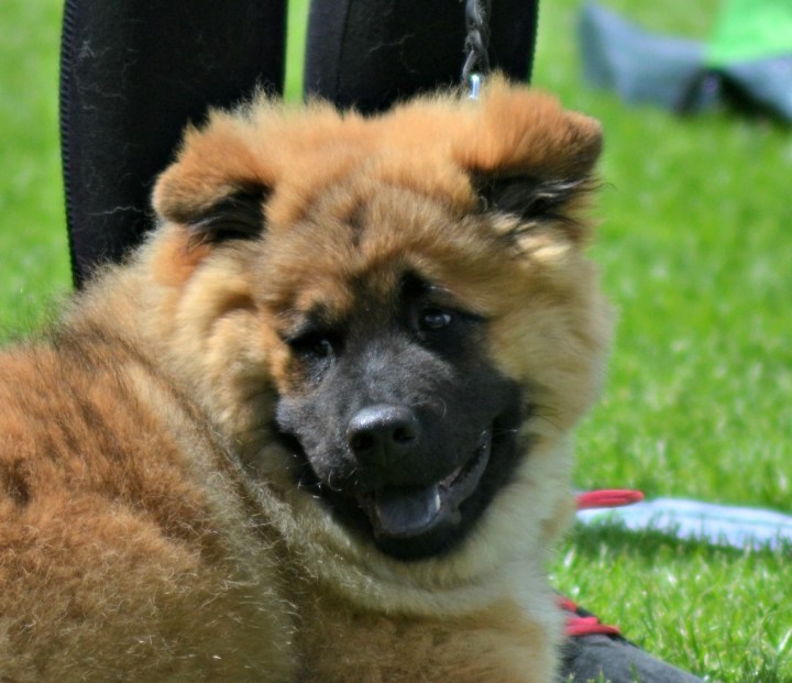 2016-07-02 18.56.37-2