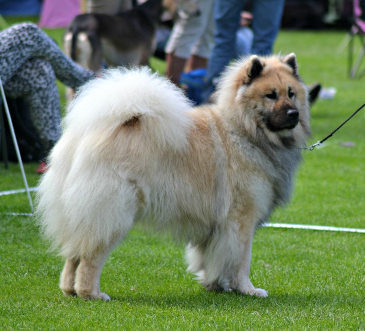 2016-07-02 19.37.32-1