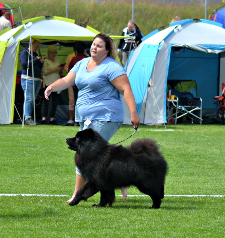 2016-07-02 19.46.51-1