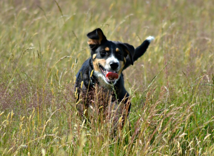 2016-07-05 22.39.33-1