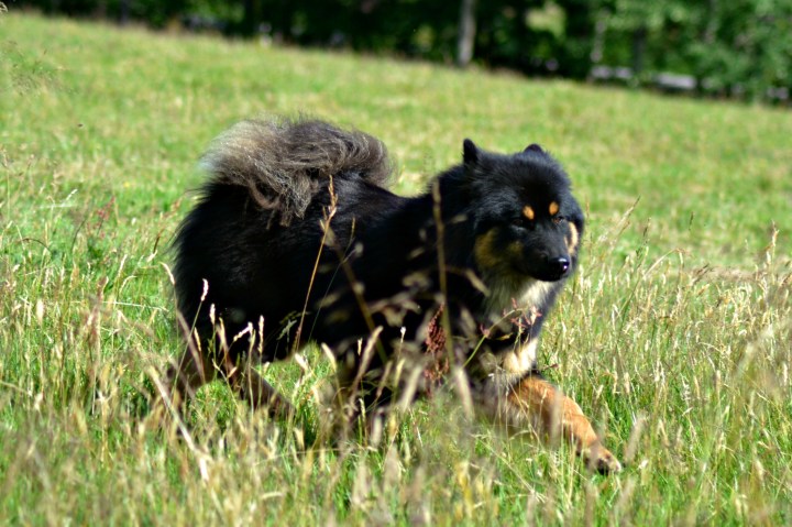 2016-07-05 22.45.09-2