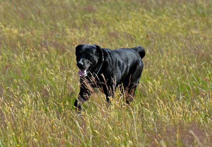 2016-07-05 22.55.21-1