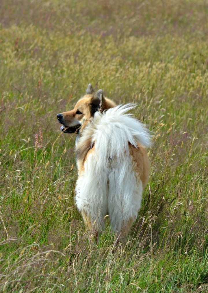 2016-07-05 22.56.19-1