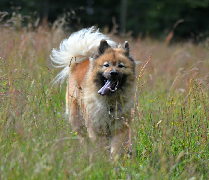 2016-07-05 22.59.18-1