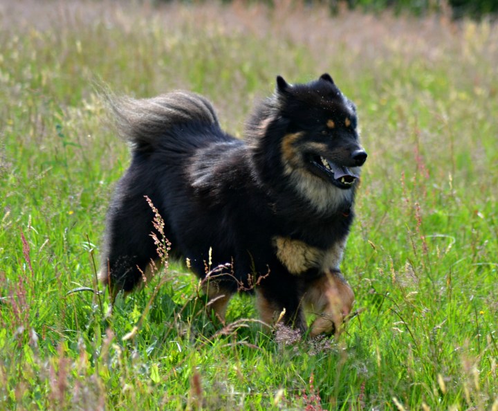 2016-07-05 22.59.43-2