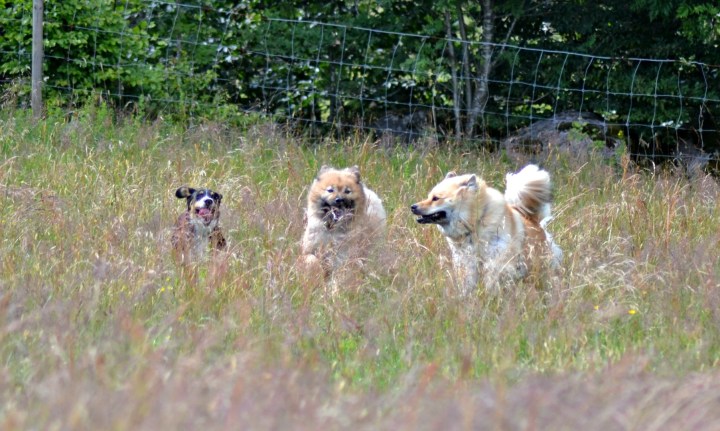 2016-07-05 23.01.10-1