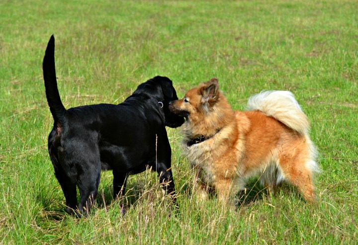 2016-07-05 23.04.31-1