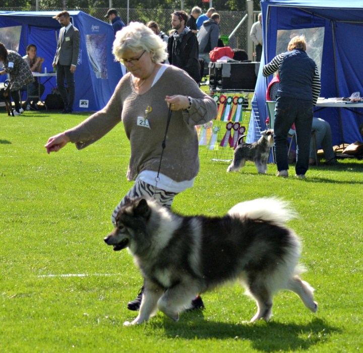 2016-07-07 16.27.21-1