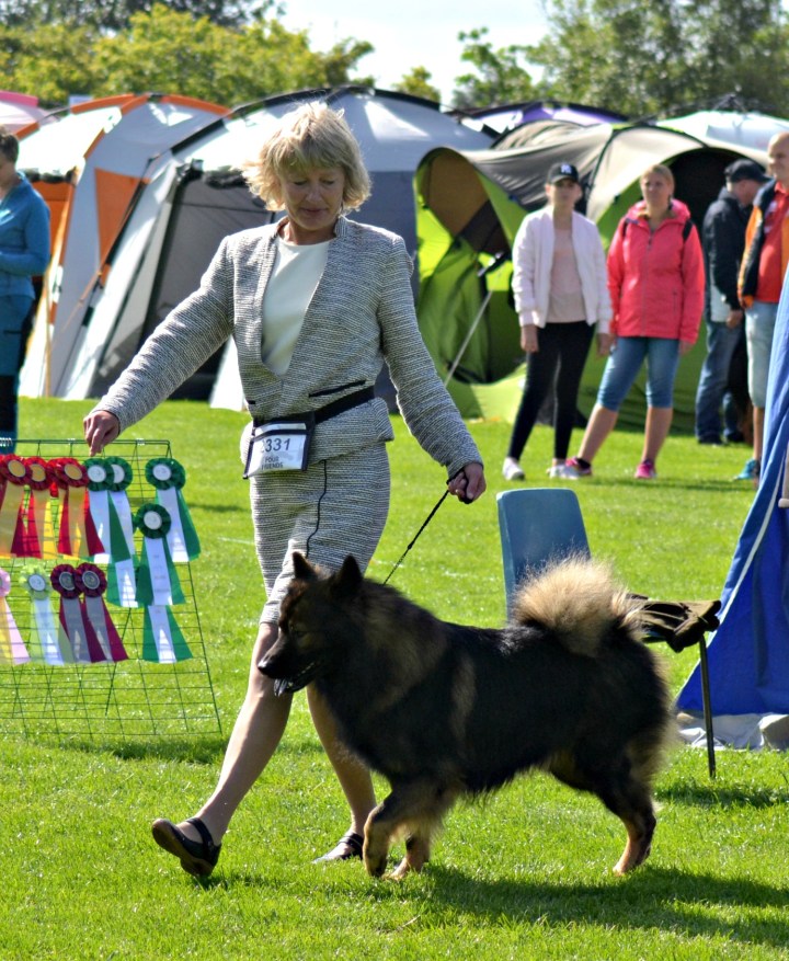 2016-07-07 16.38.49 (2)