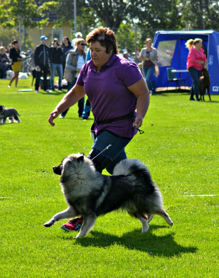 2016-07-07 16.41.53-3