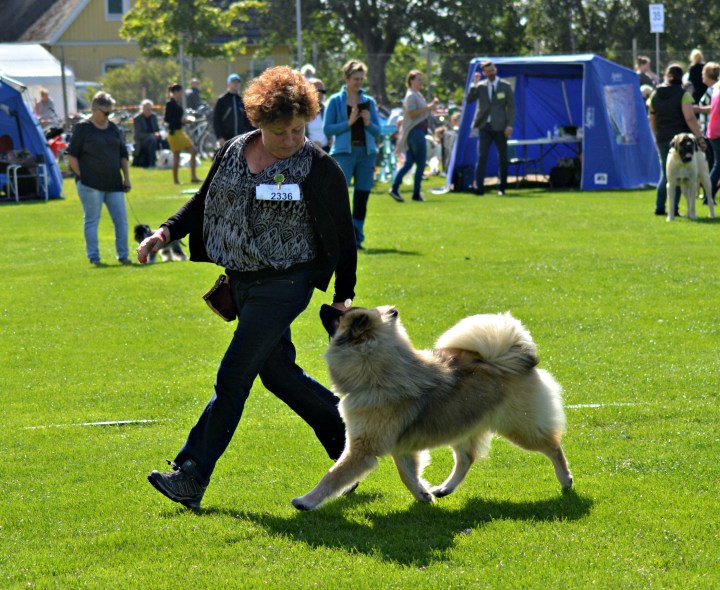 2016-07-07 16.41.56-1