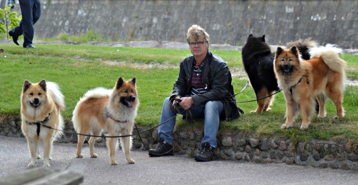 2016-07-07 21.02.15-1