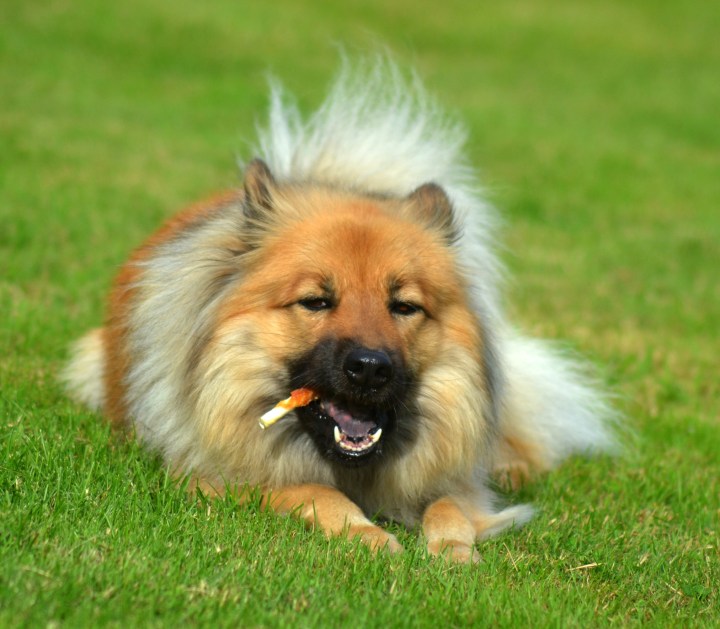 2016-07-08 00.38.51-1