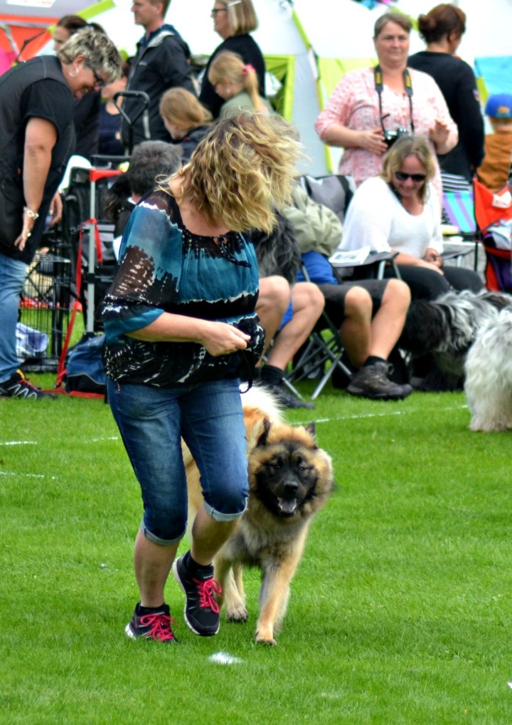 2016-07-08 17.44.27.jpg