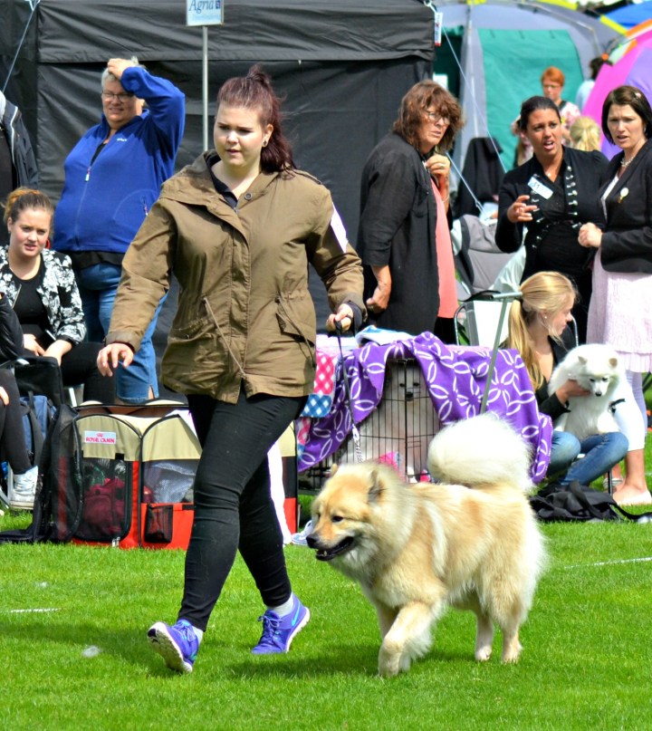 2016-07-08 17.48.15-2