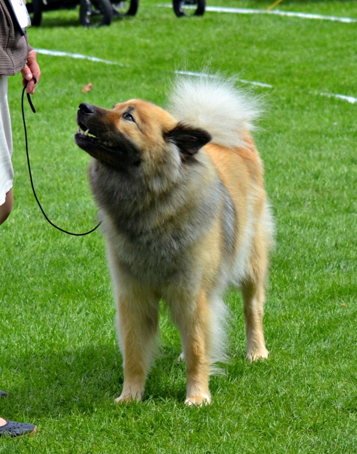 2016-07-08 18.57.34-1