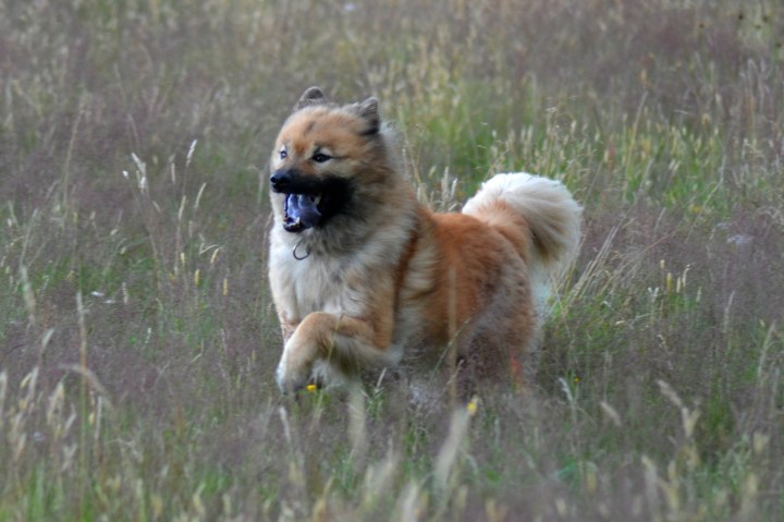 2016-07-11 23.35.25-2