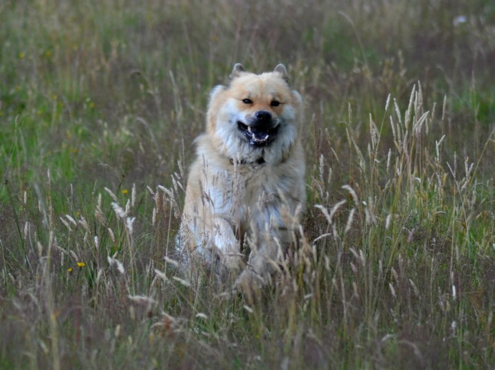 2016-07-11 23.35.28-3