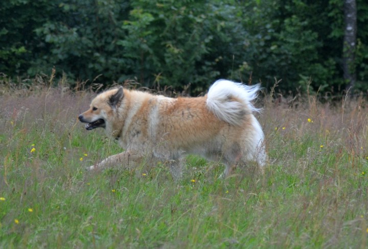 2016-07-15 21.08.28-2