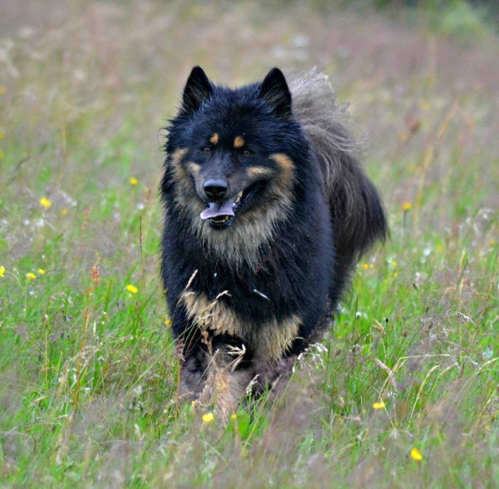 2016-07-15 21.11.40-2