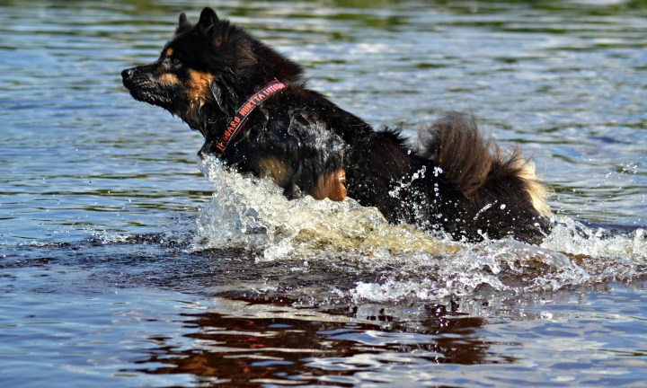 2016-07-22 22.15.09-2