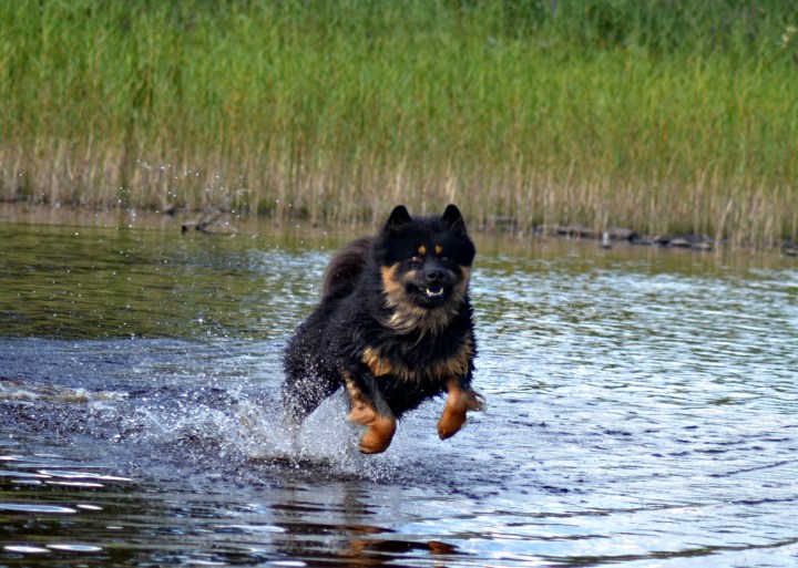 2016-07-22 22.26.28-1