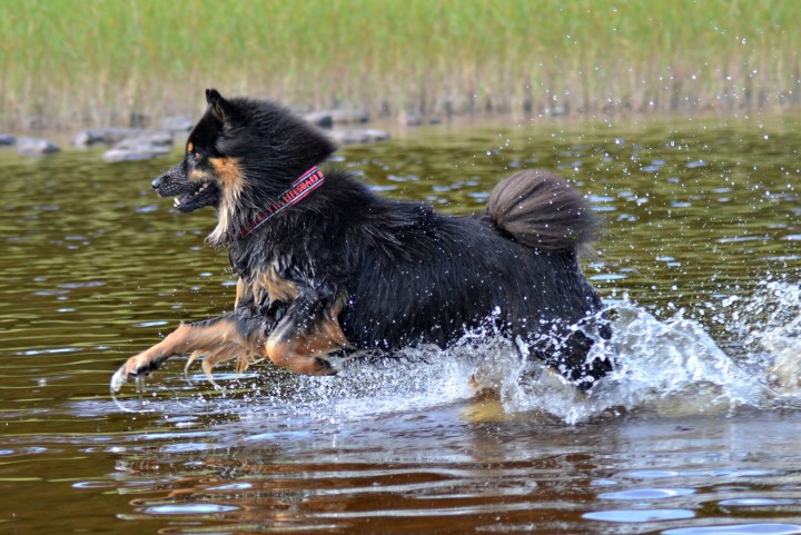 2016-07-22 22.30.00-3