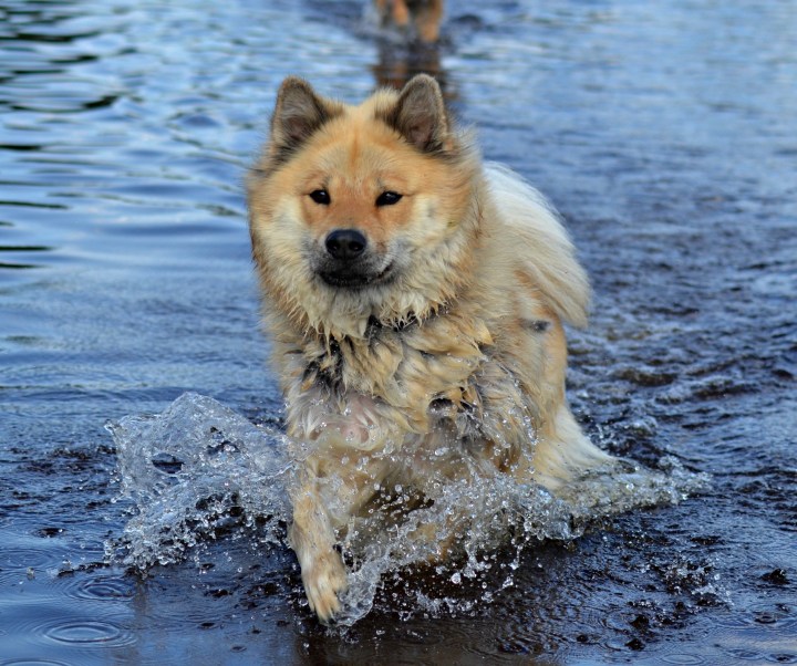 2016-07-22 22.31.48-2