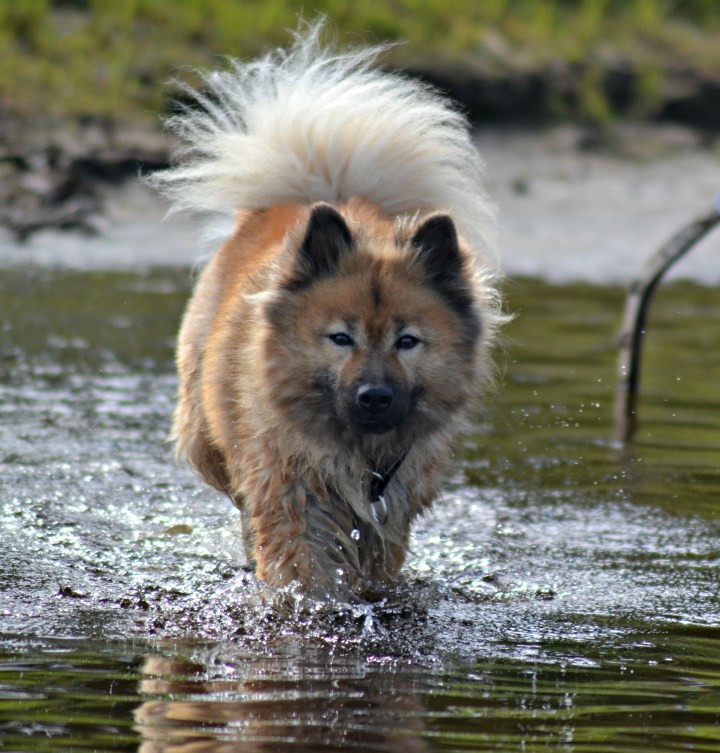 2016-07-22 22.35.25-1