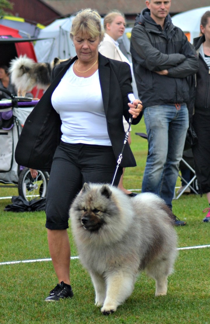 2016-07-29 16.19.52-1