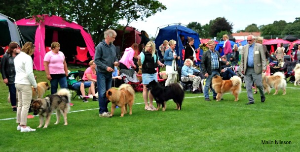 mms_20160713_195353 (2)