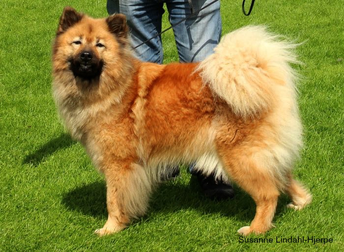 zelda3_5781e4f89606ee4d84acee1b