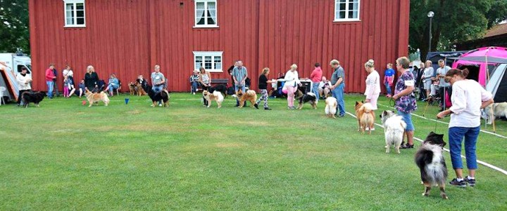 13681915_1470655669626769_1871678331_o (2)