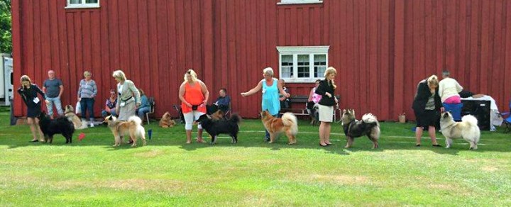 13681982_1470655722960097_833873529_o (2)