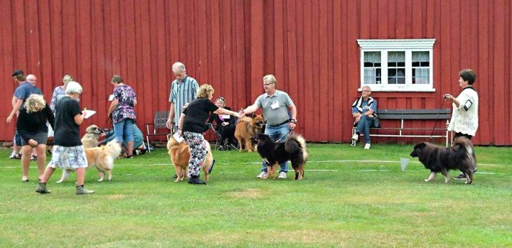 13901702_1470655689626767_70028010_o (2)