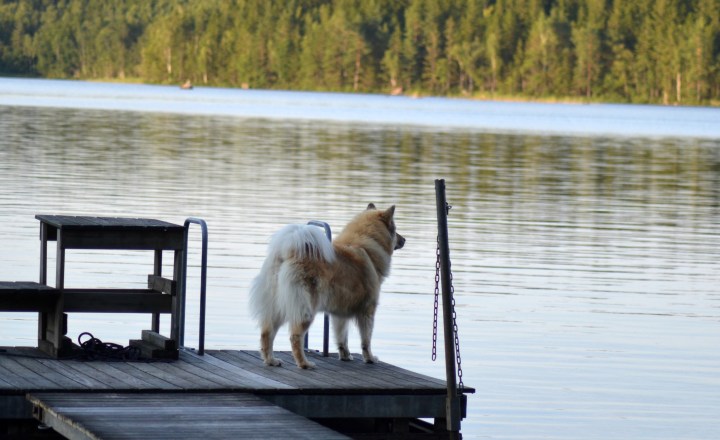 2016-07-24 02.35.43-1