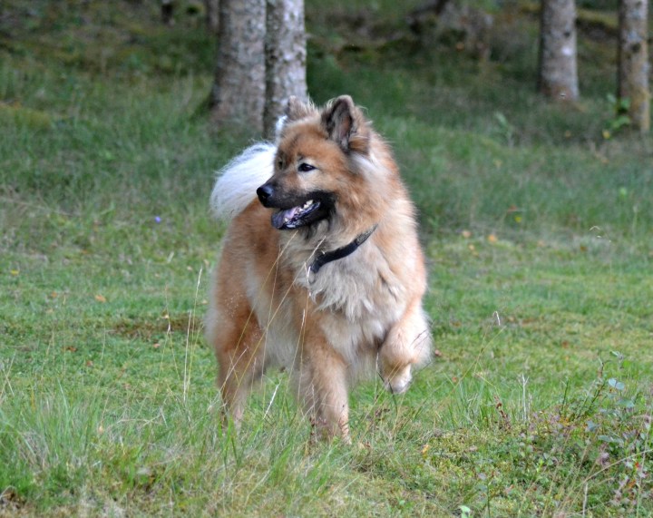 2016-07-24 02.37.42-2