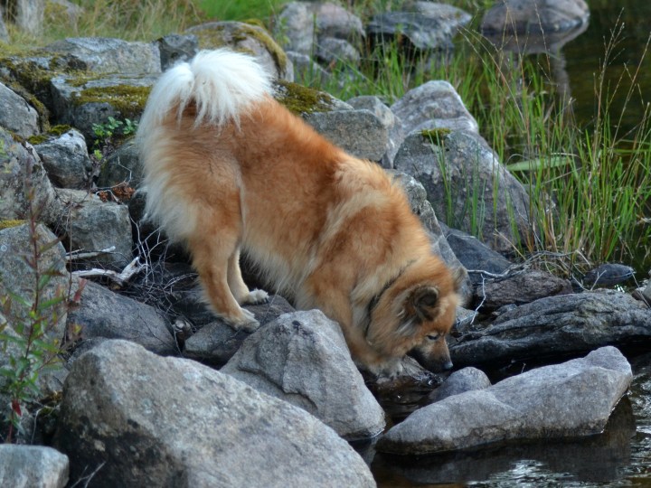 2016-07-24 02.42.26-2