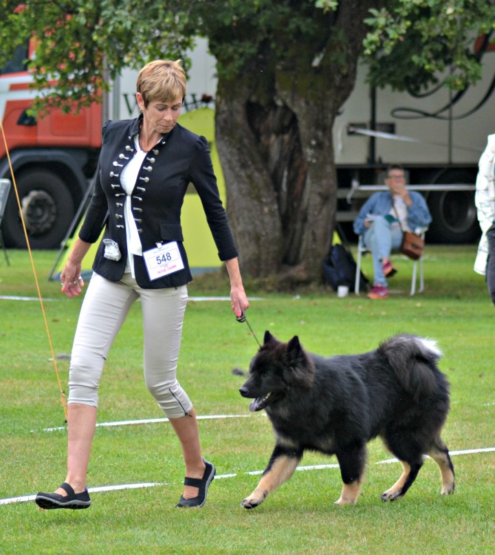 2016-07-29 18.01.49-1