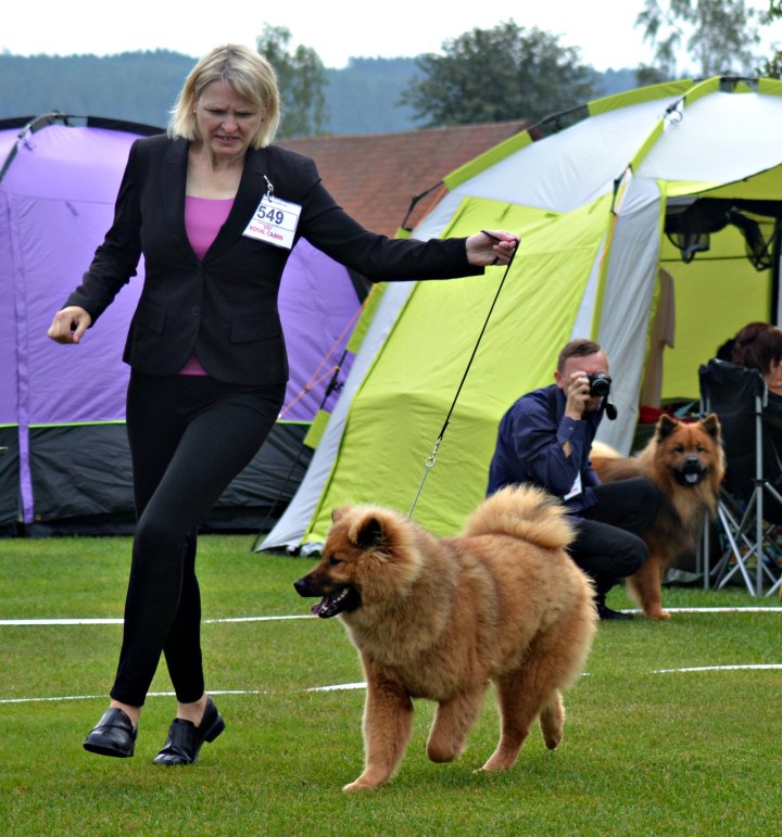 2016-07-29 18.04.28-1