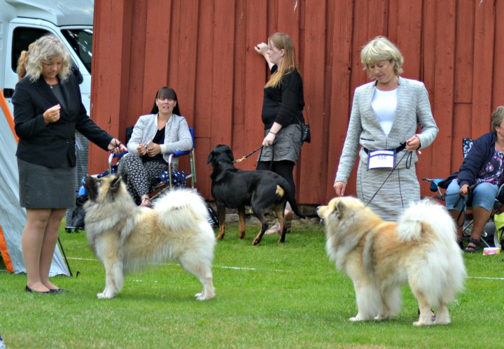 2016-07-29 18.22.13.jpg