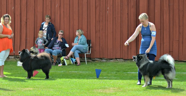 2016-07-29 18.36.31.jpg