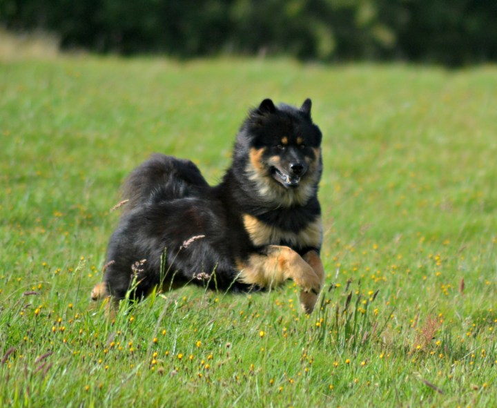 2016-08-09 23.58.47-2