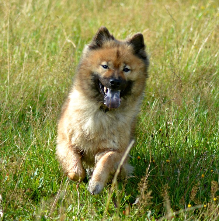 2016-08-10 00.07.22-3