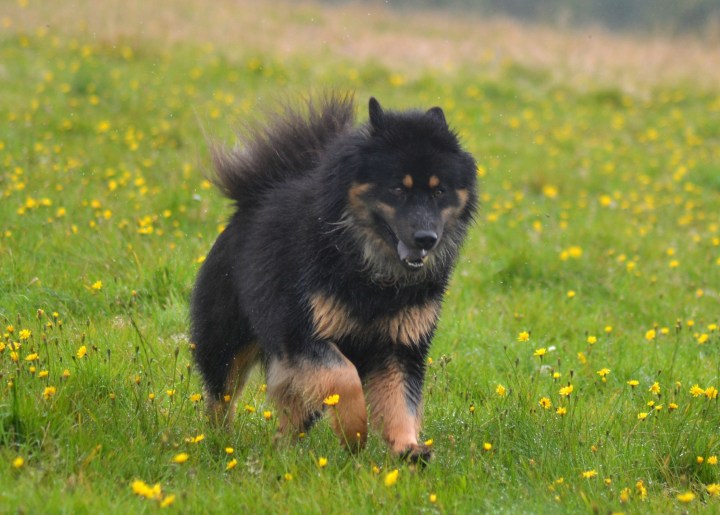 2016-08-12 20.16.00-3