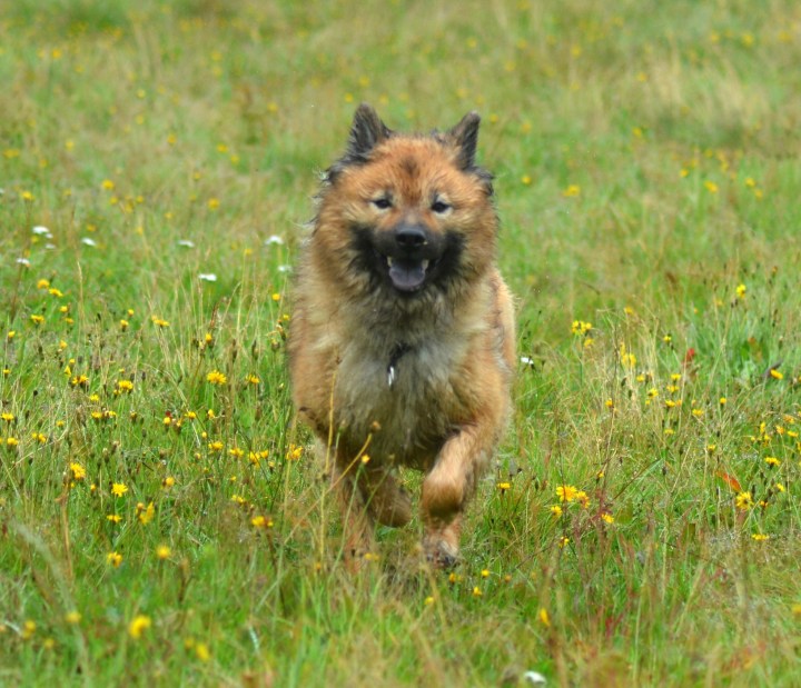 2016-08-12 20.18.52-3