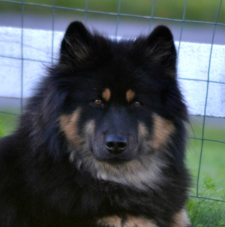 2016-08-14 00.41.09-1